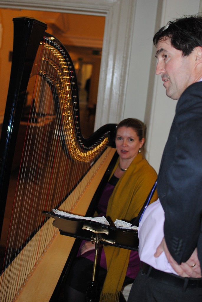 Sussex wedding entertainment harpist 