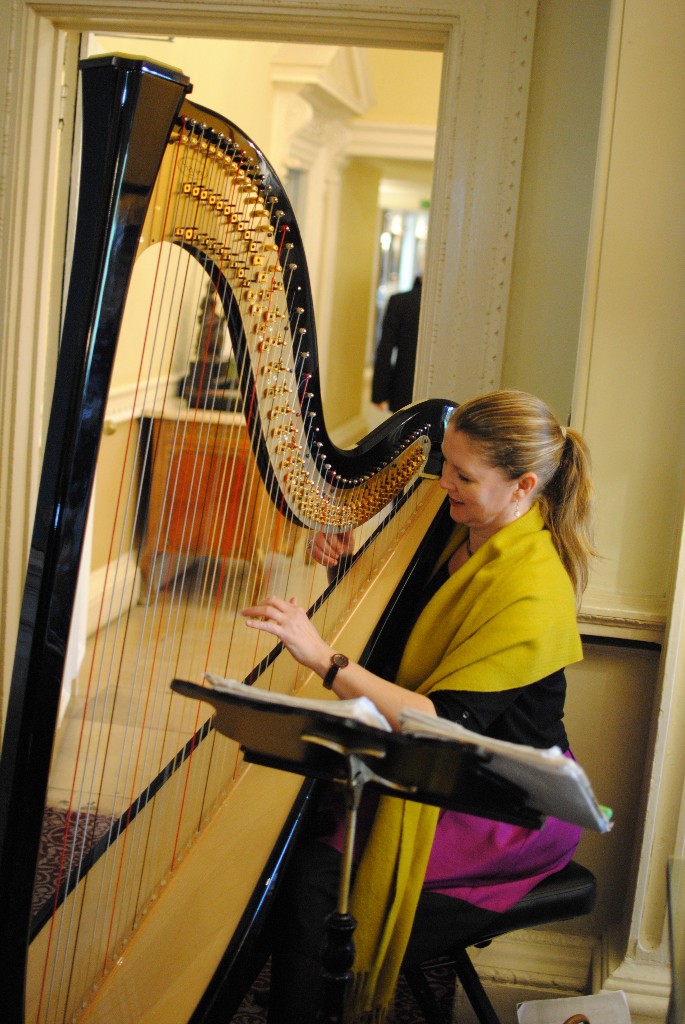 Sussex wedding entertainment harpist